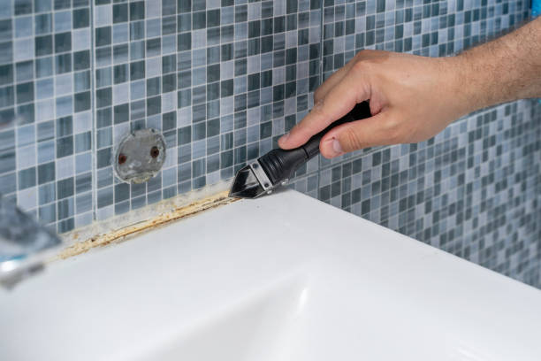 Best Residential Mold Remediation in Homer, LA