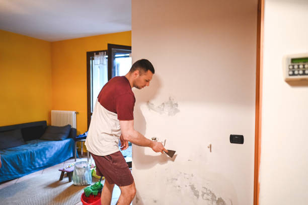 Best Mold Remediation for Specific Building Types in Homer, LA